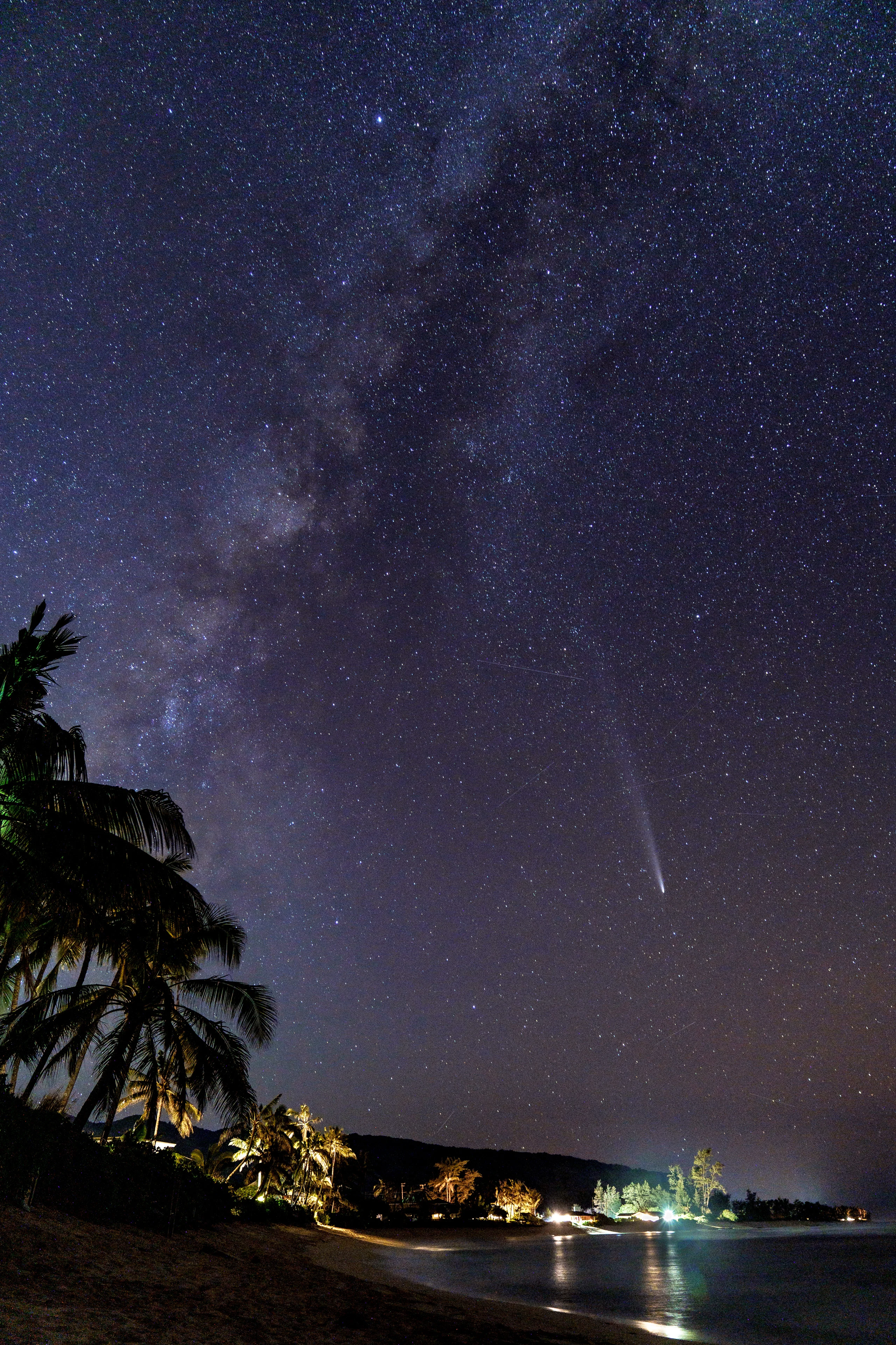 A comet and the Milky Way above silhouetted palm trees