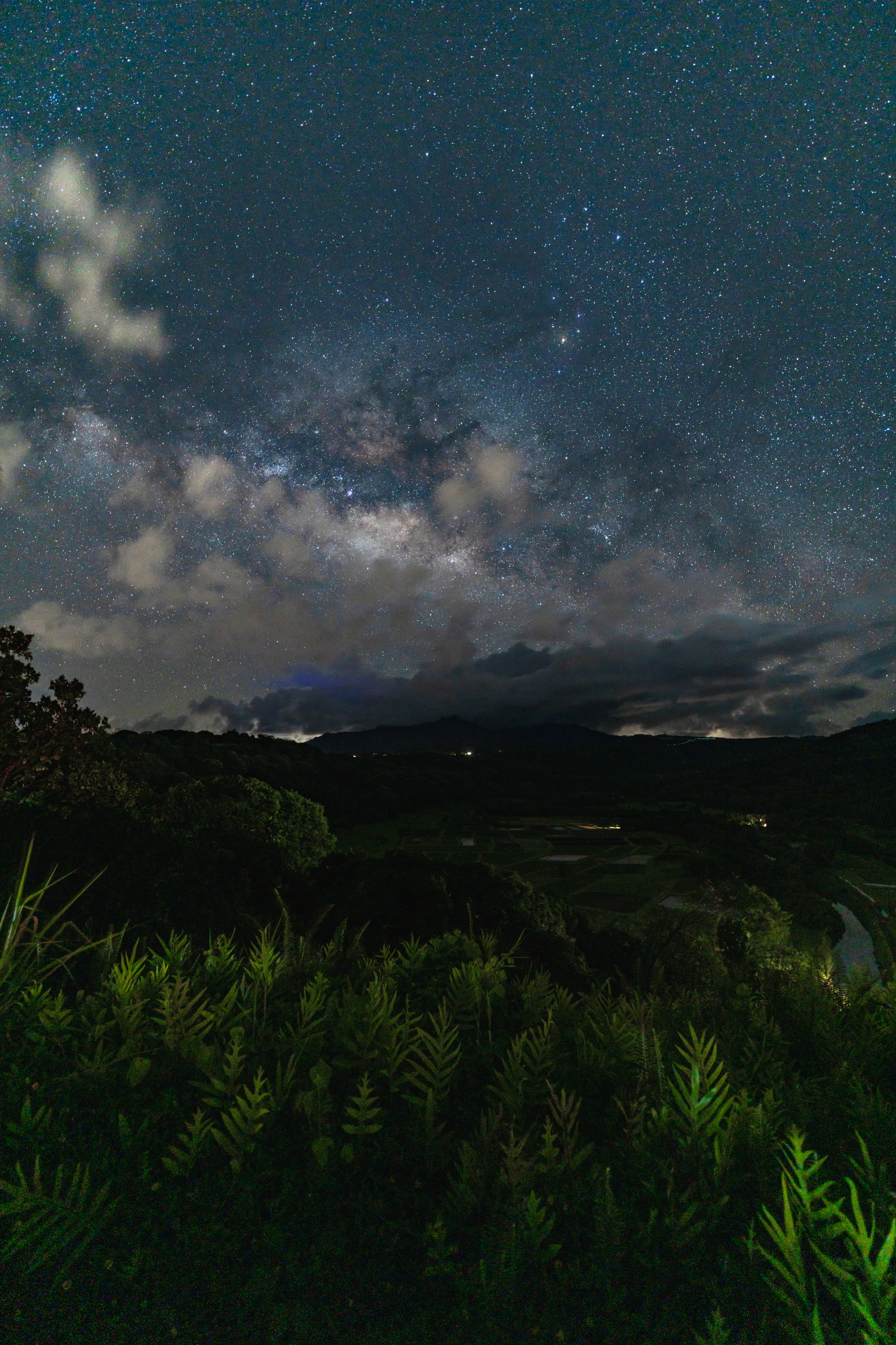 The Milky Way above foreground foliage and Hanalei Valley