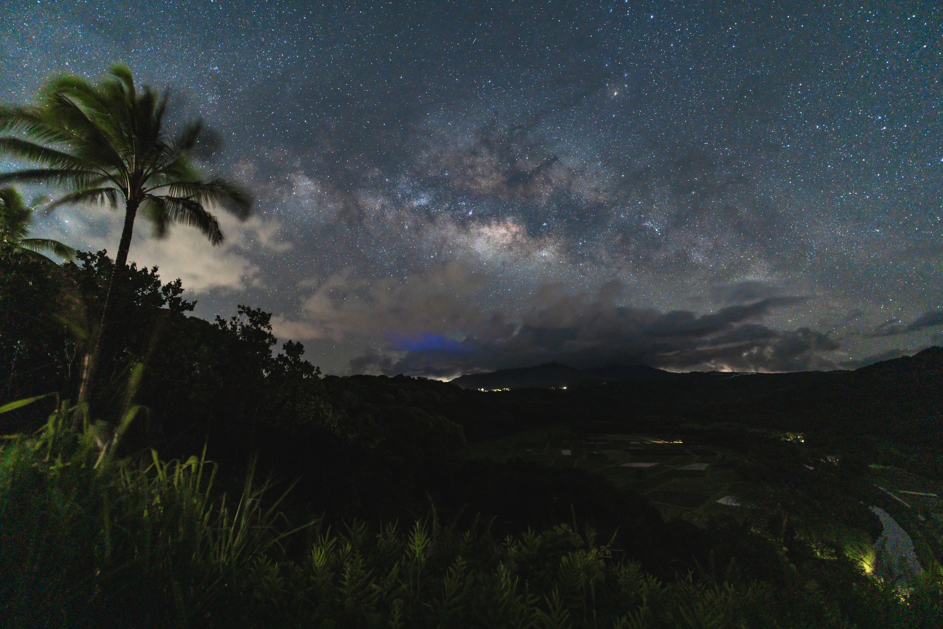 A palm tree beside the Milky Way above Hanalei Valley