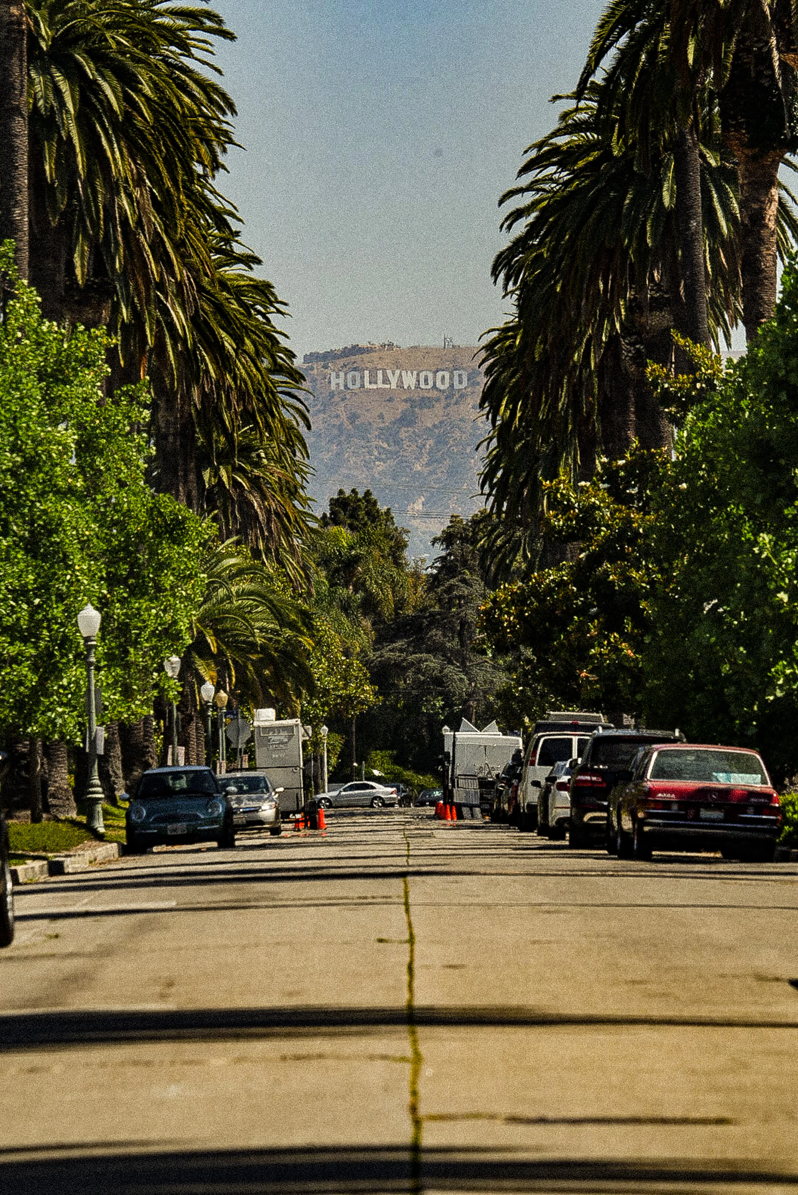 The Hollywood sign framed by a palm-lined street