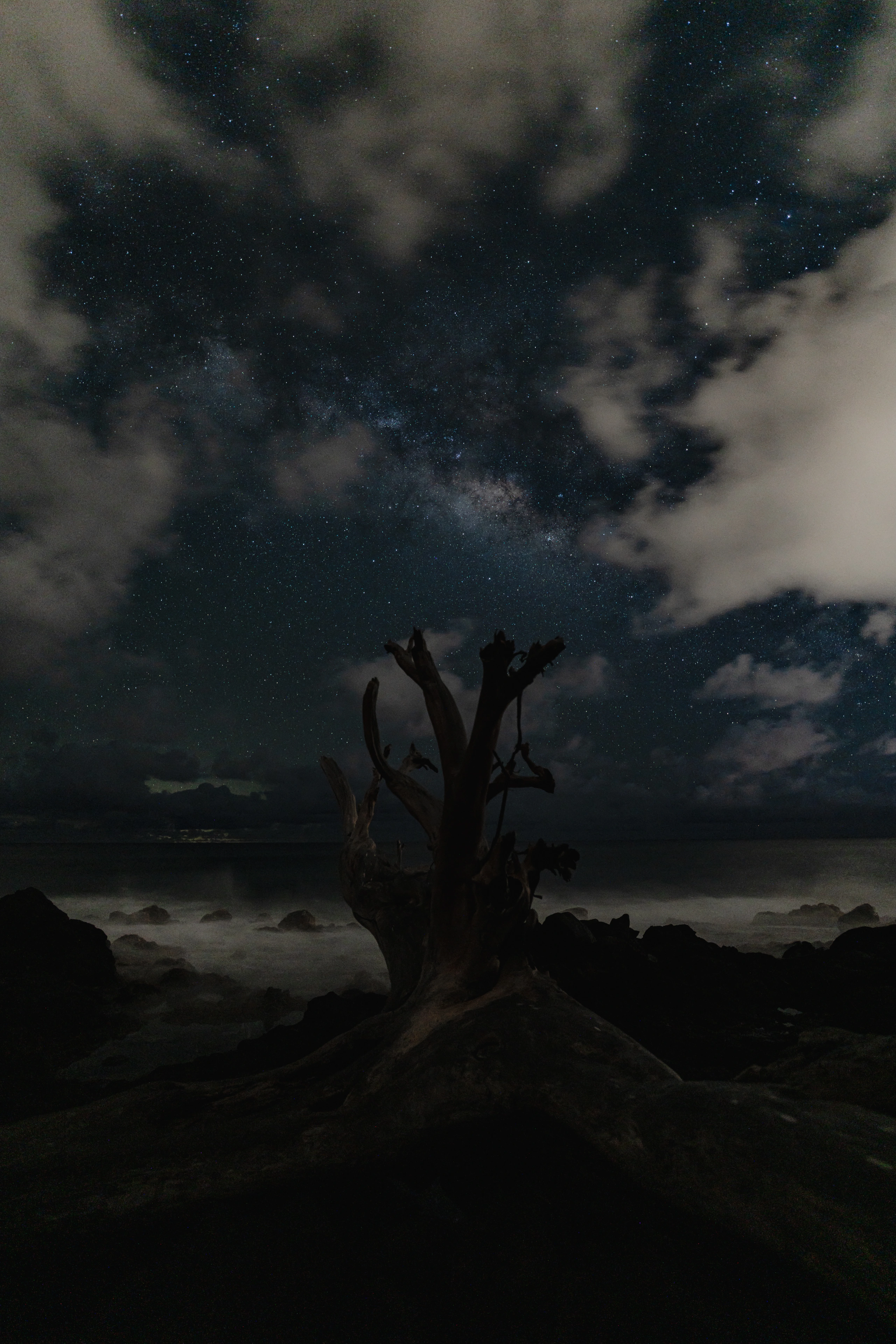 A weathered tree reaching into a clouded star field at Kapaa