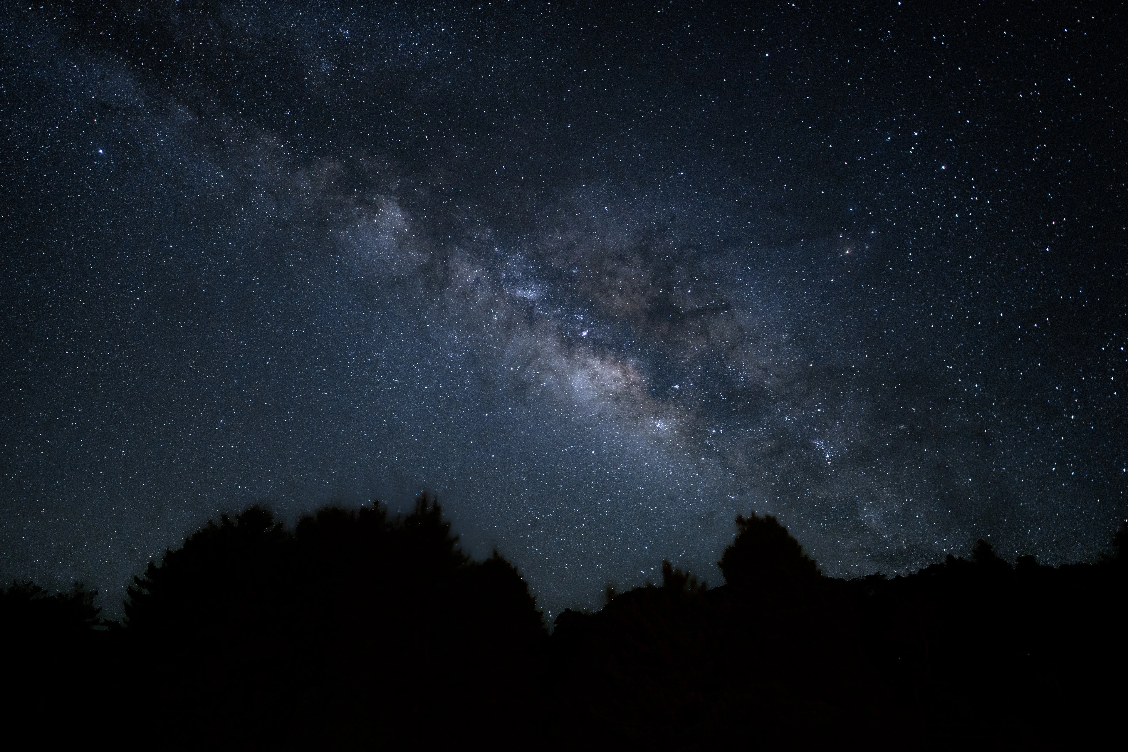 A wide Milky Way above a dark tree line at Kōkeʻe State Park