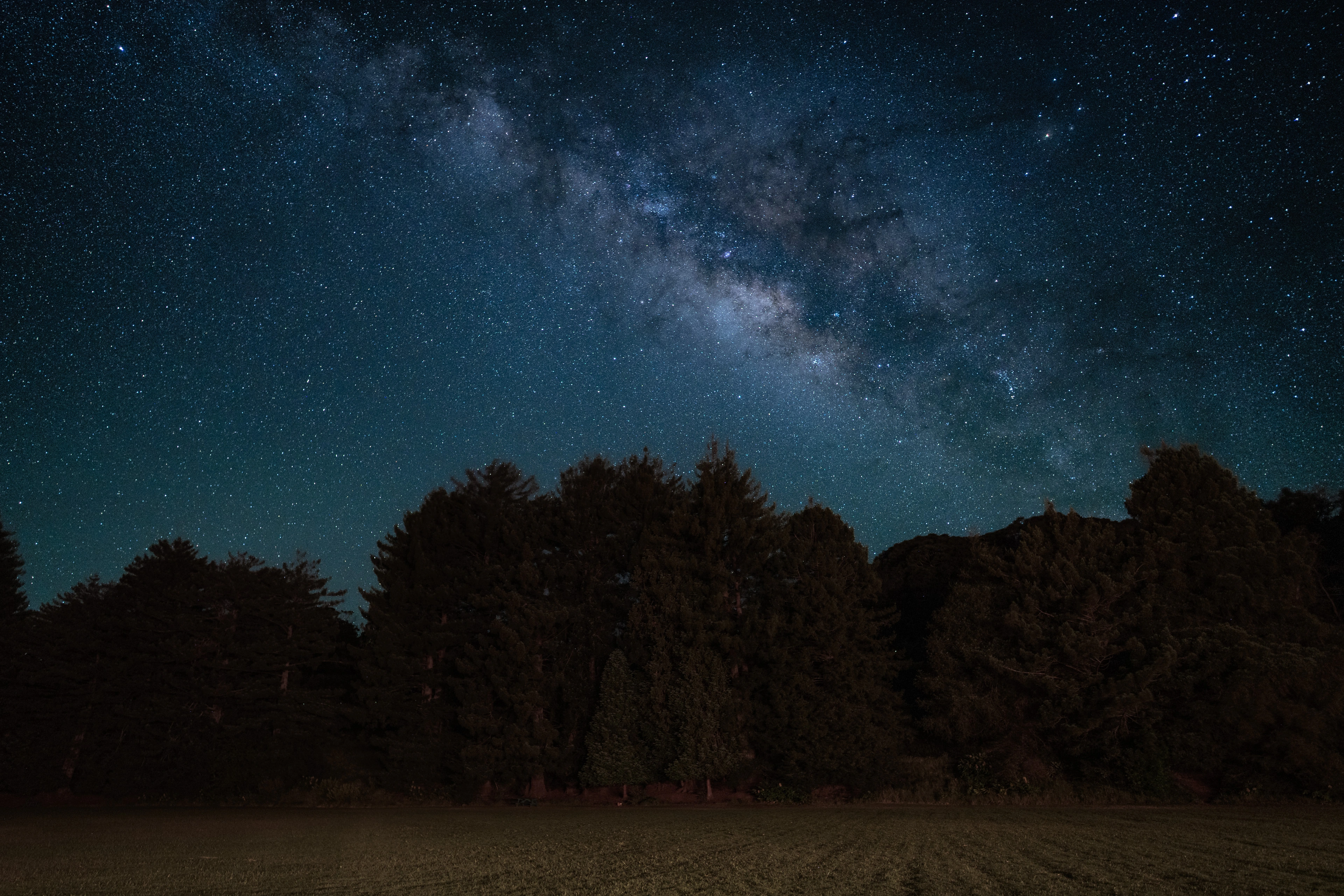 The Milky Way above trees at Kōkeʻe State Park