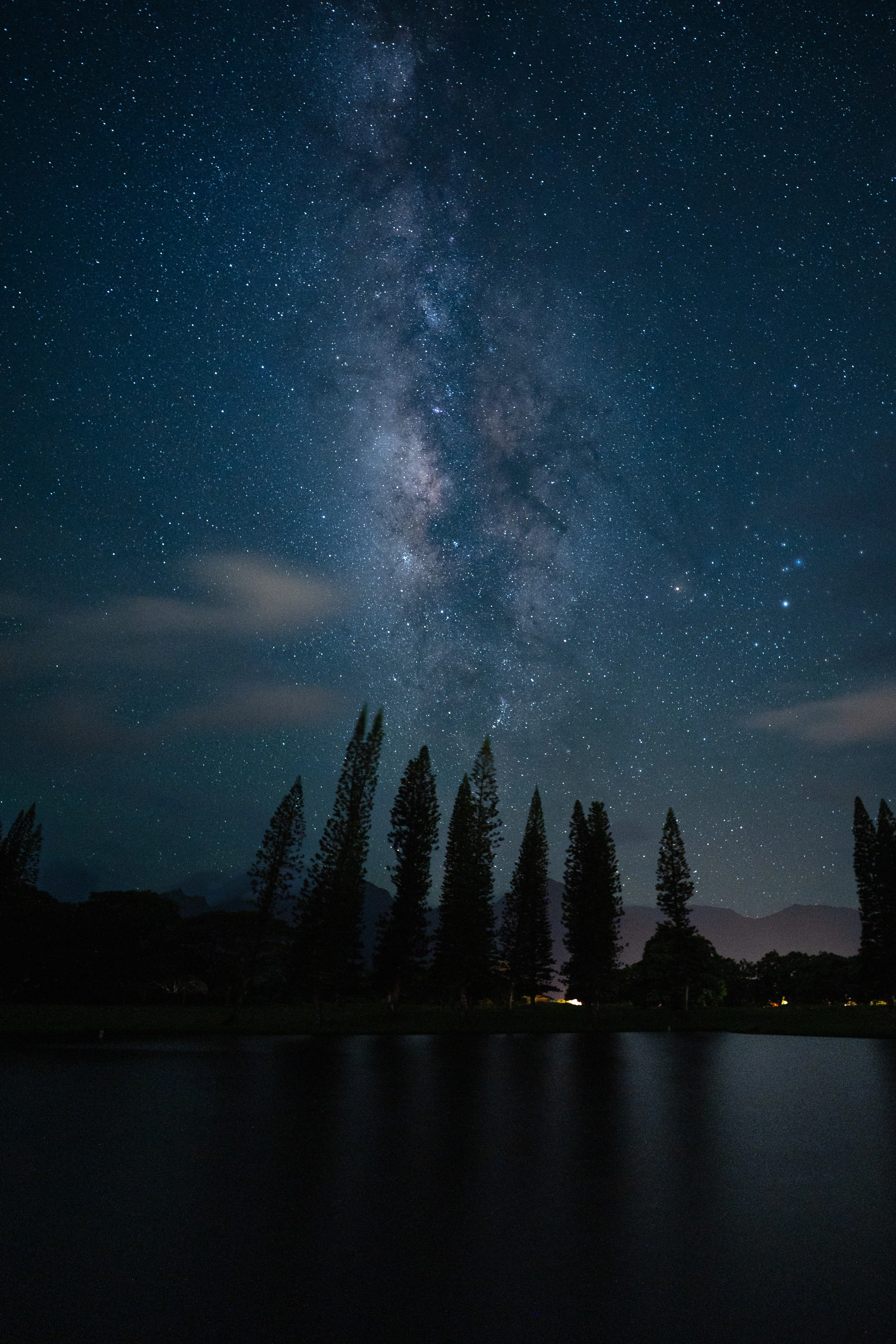 The Milky Way and thin clouds above Norfolk pines in Princeville