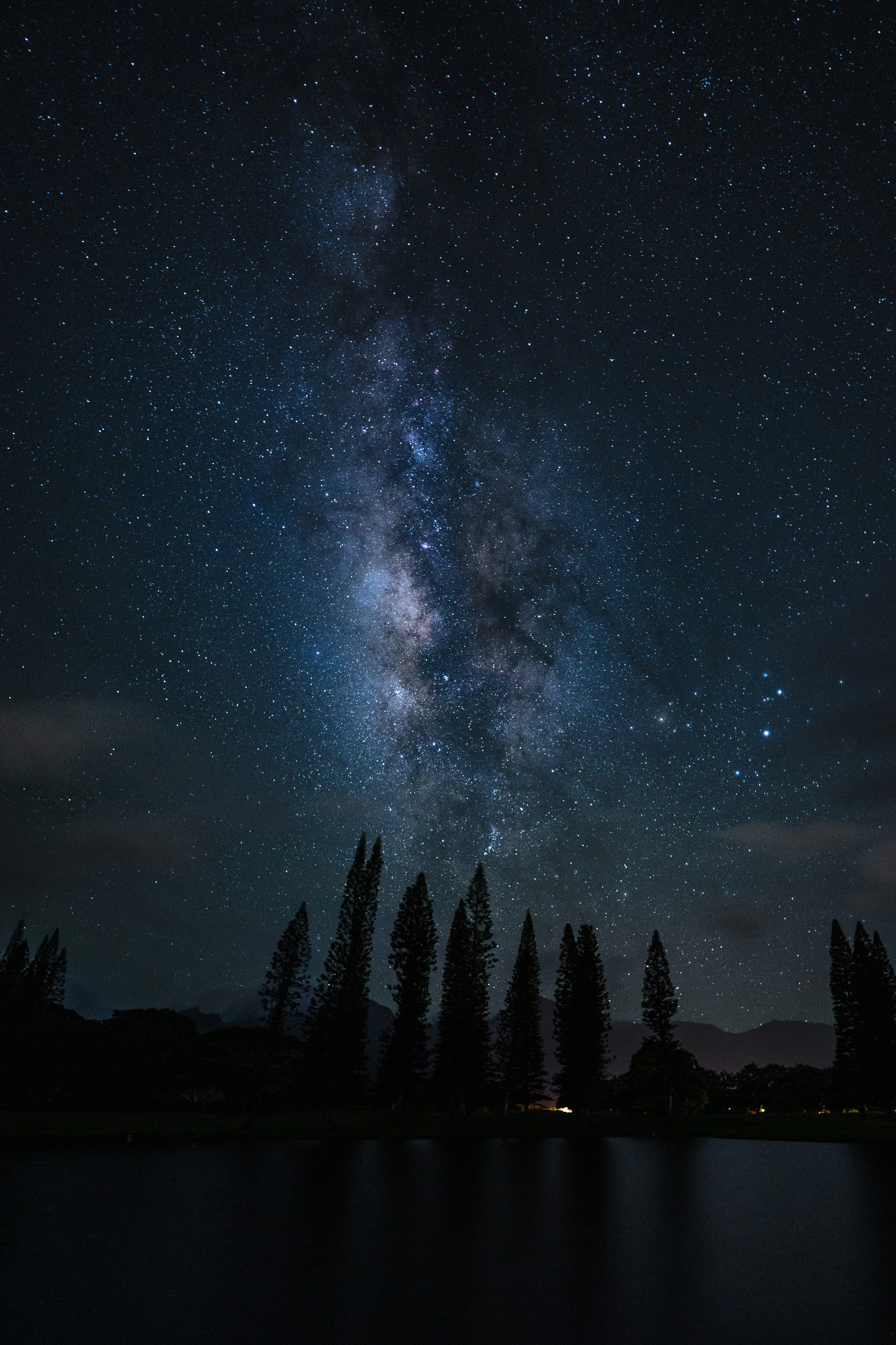 The vertical Milky Way rising above Norfolk pines in Princeville
