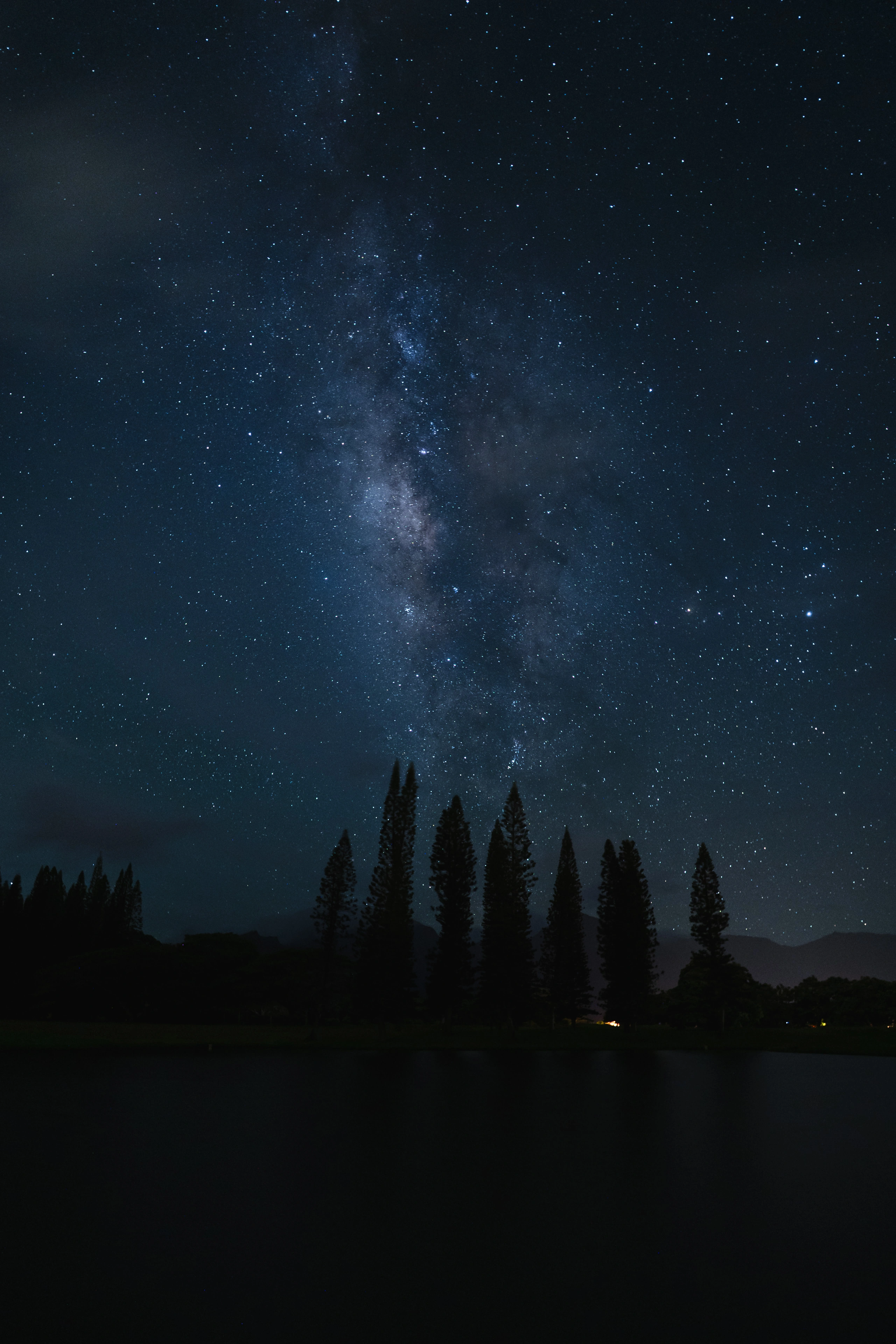 Tall Norfolk pines silhouetted beneath the Milky Way in Princeville