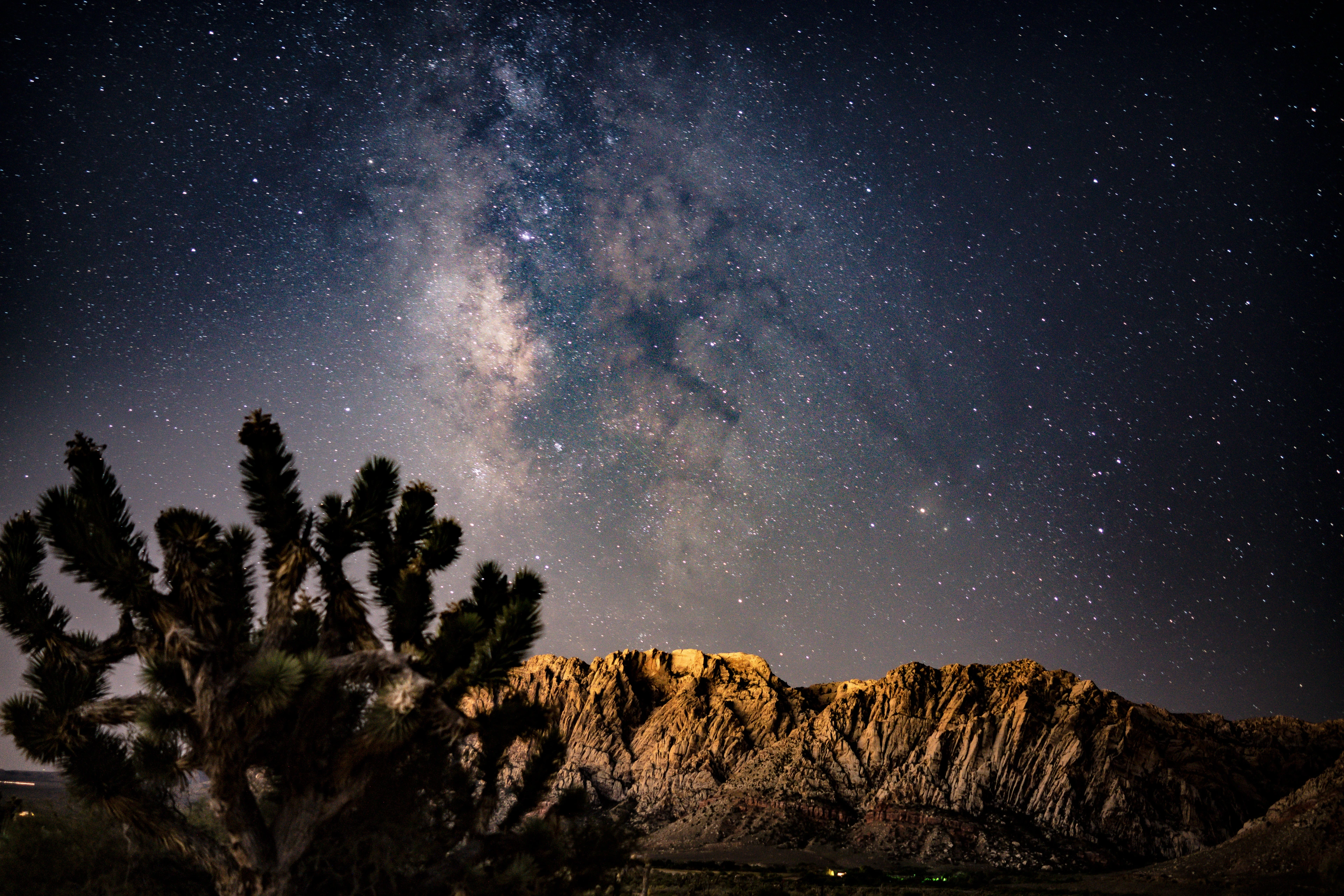 The Milky Way above Joshua trees and Red Rock Canyon