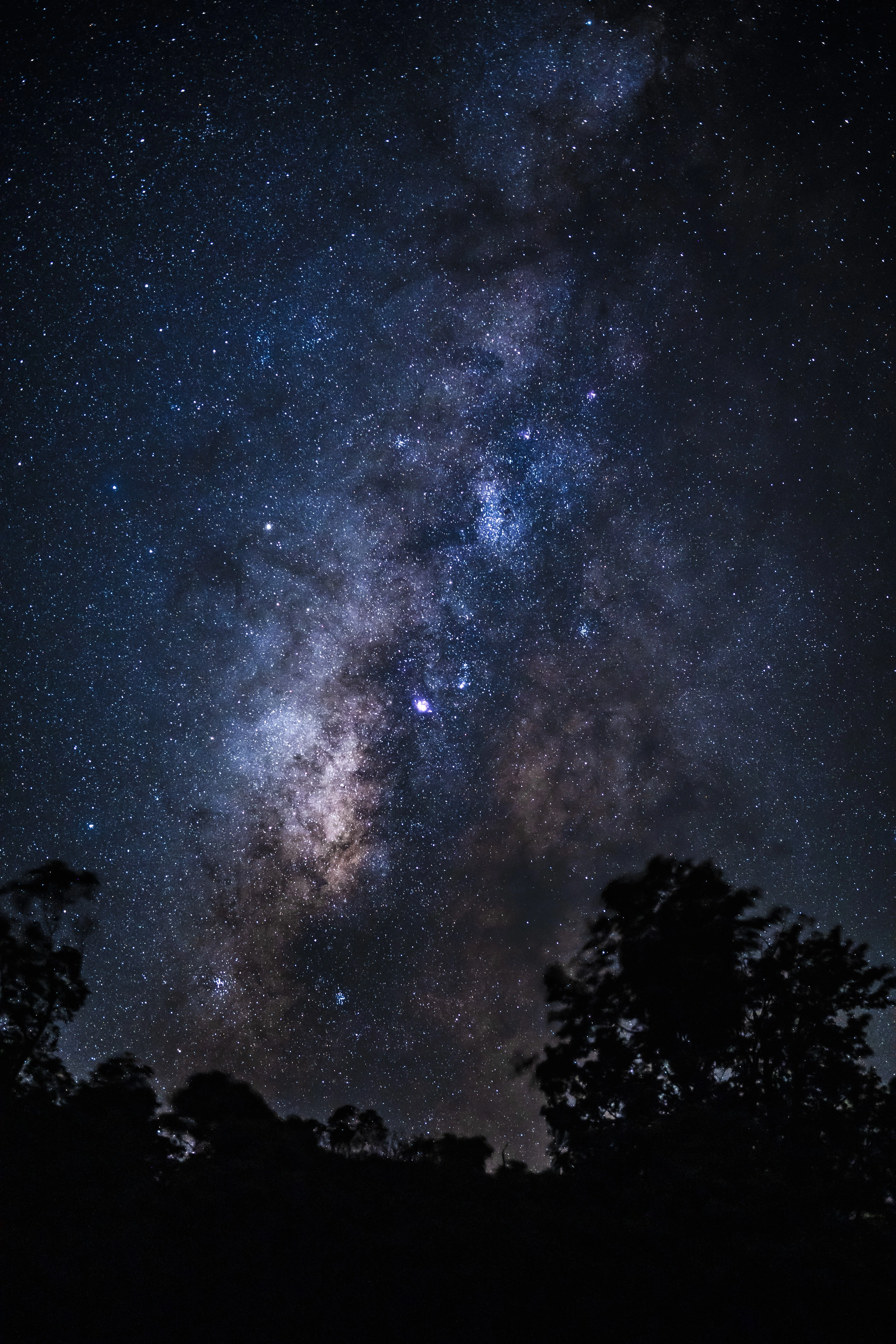 A close vertical view of the Milky Way core above trees at Waimea Canyon