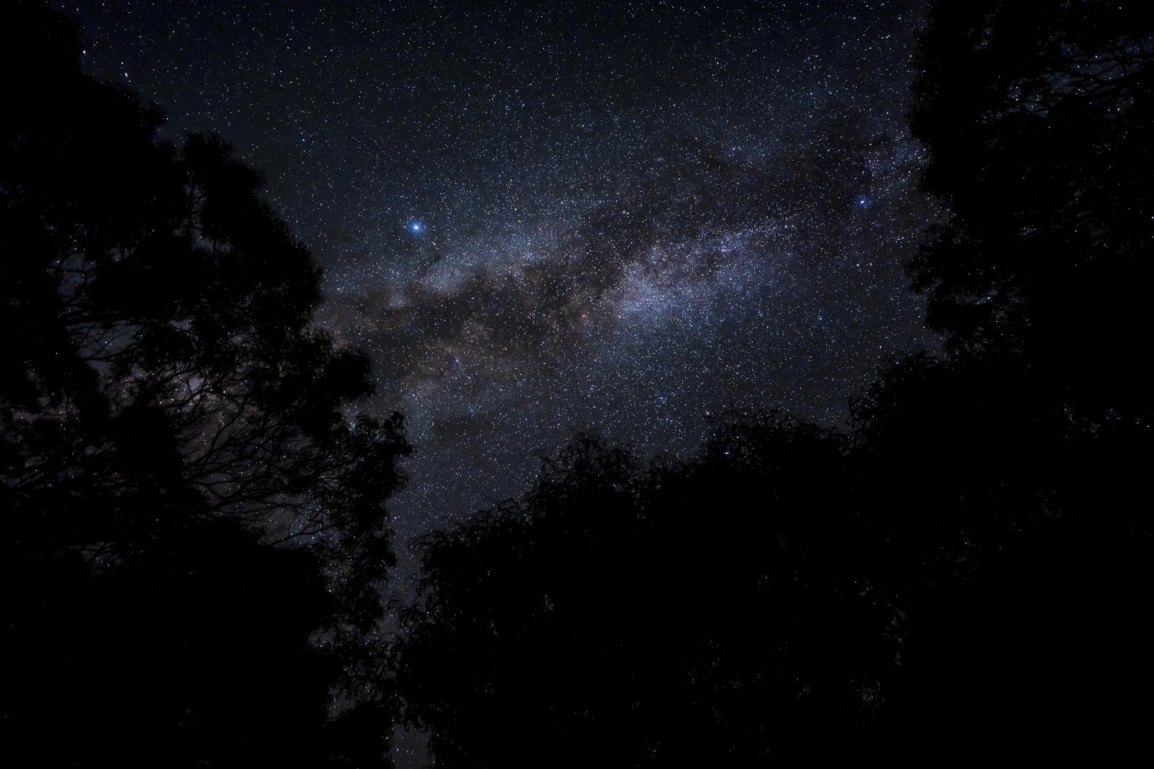 The Milky Way crossing an opening between dark trees at Waimea Canyon