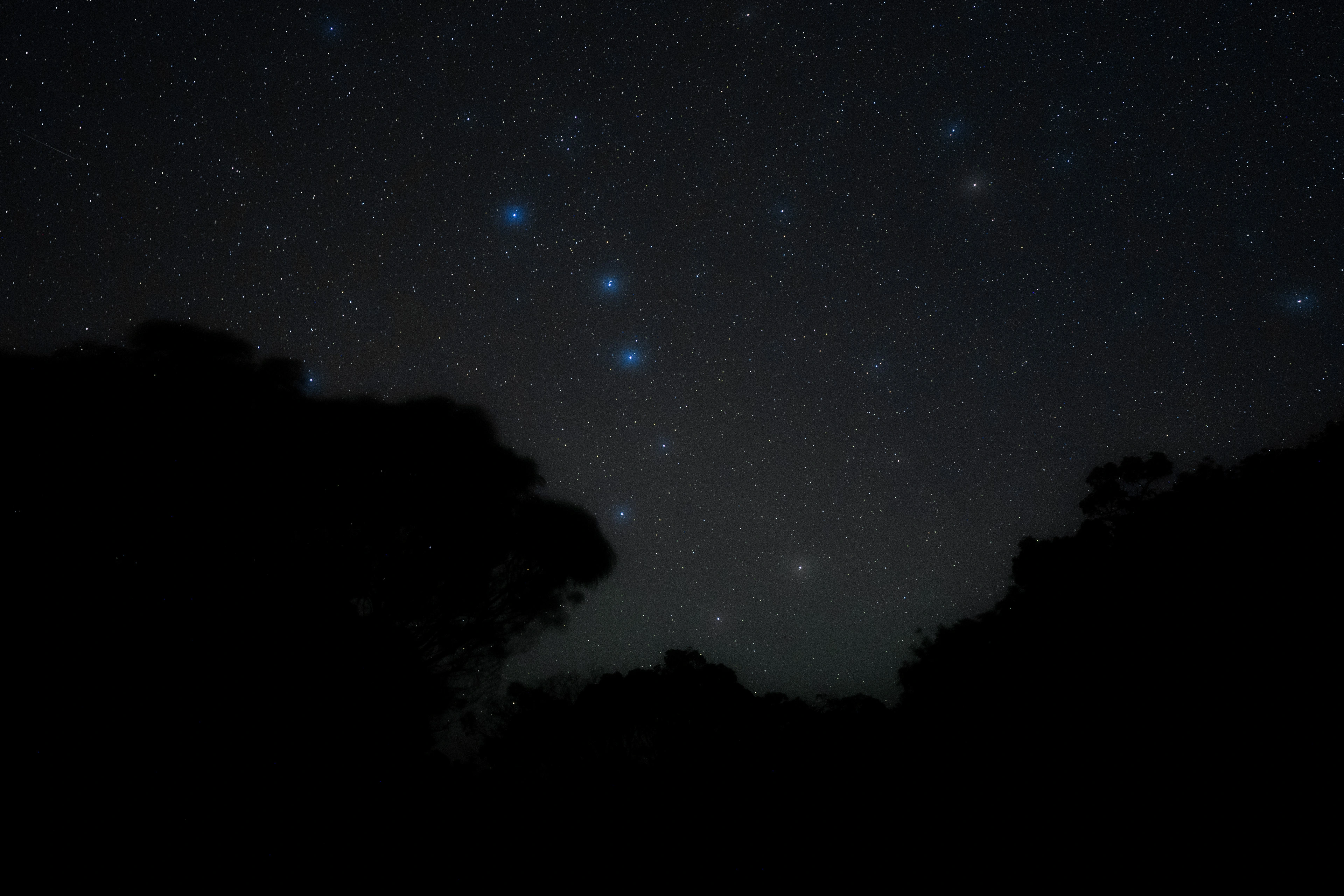 A star field framed by dark tree silhouettes at Waimea Canyon
