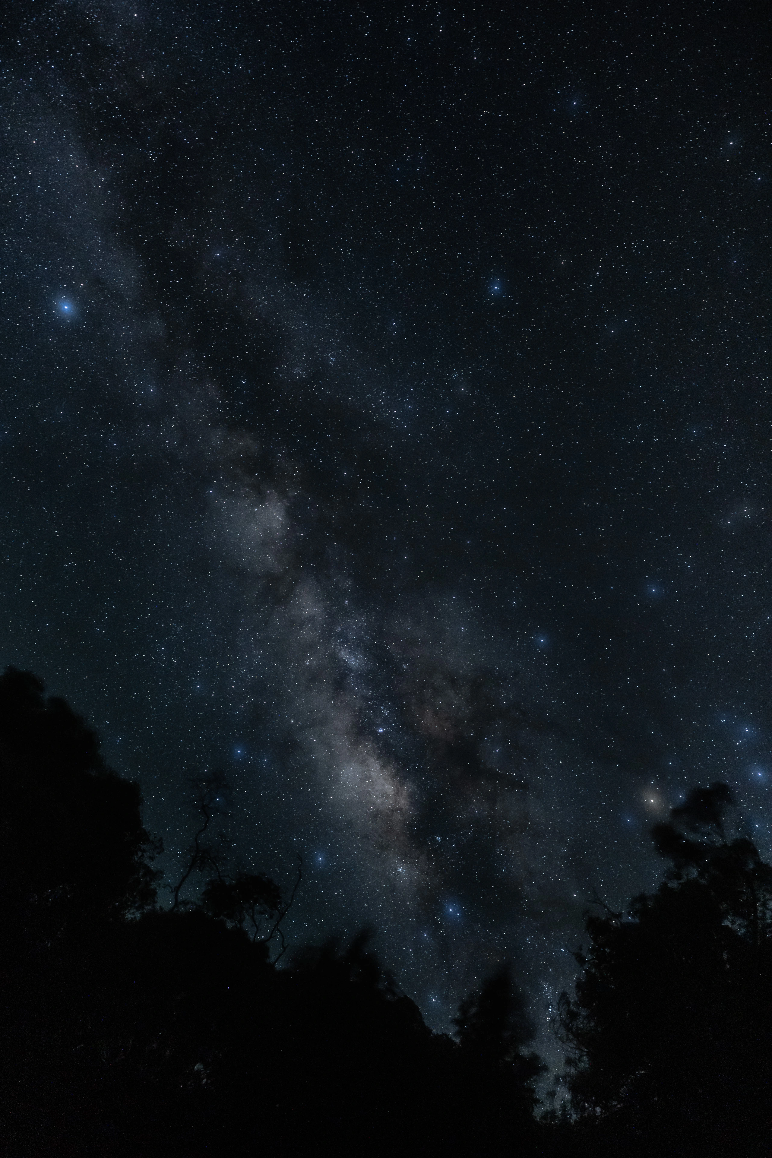 The Milky Way above dark tree silhouettes at Waimea Canyon
