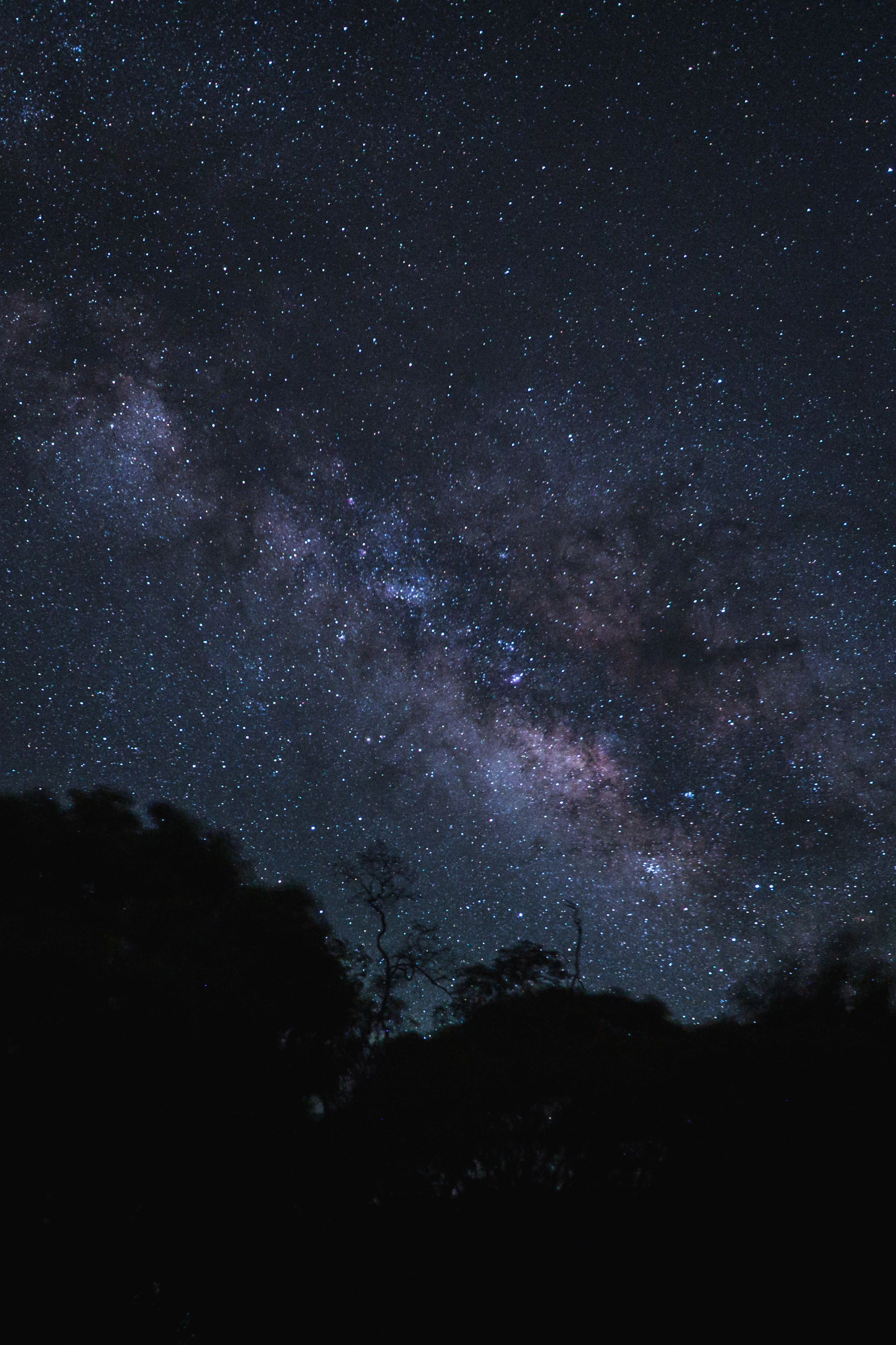 A vertical Milky Way rising above silhouetted trees at Waimea Canyon